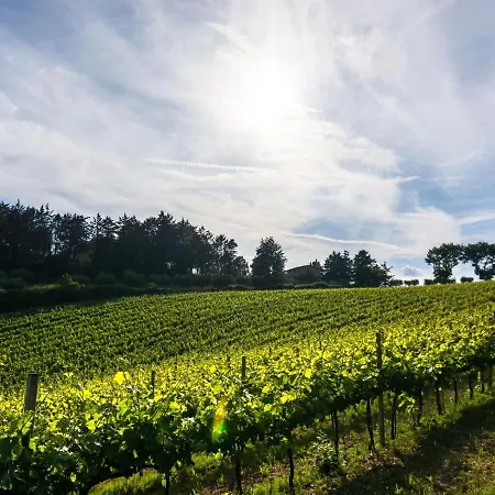 Mansion In With Pool & Hills * Perugia