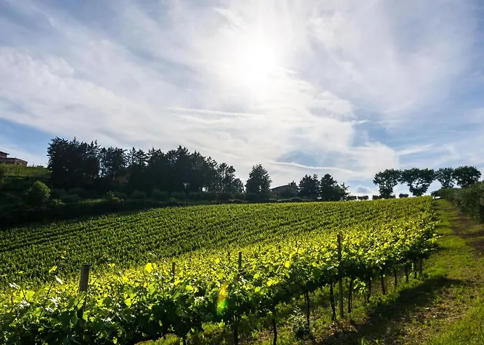 Mansion In With Pool & Hills * Perugia